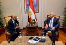 مصر تسعى للتعاون مع المغرب في صناعة السيارات