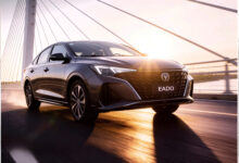 شانجان ايدو 2026 في مصر