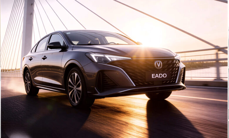 شانجان ايدو 2026 في مصر