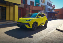 دولفن سيرف Surf