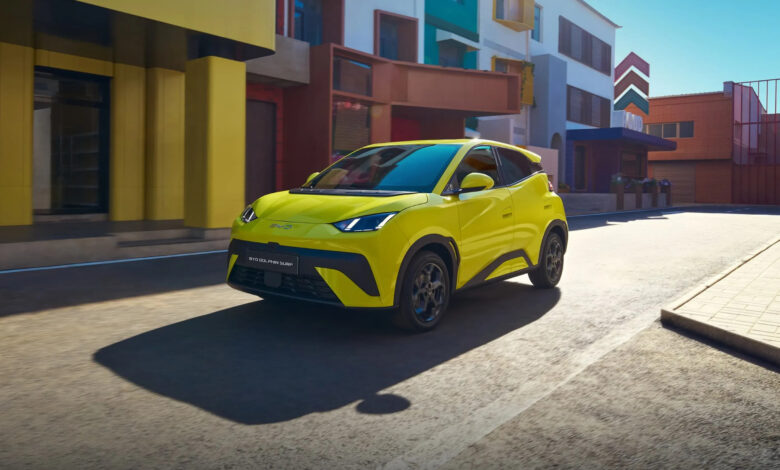 دولفن سيرف Surf