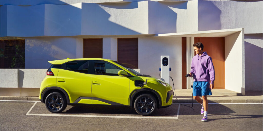 دولفن سيرف Surf