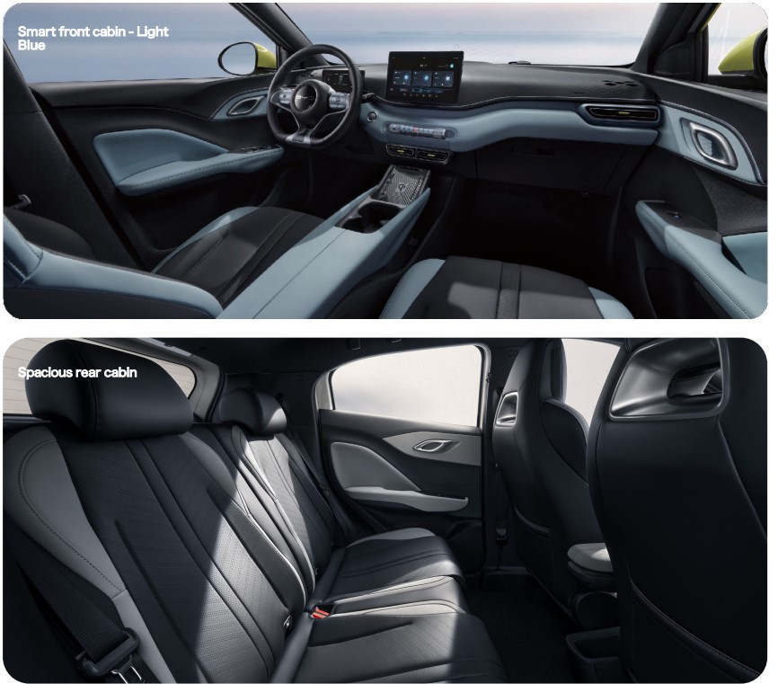 دولفن سيرف Surf