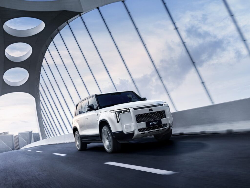 روكس أداماس ADAMAS