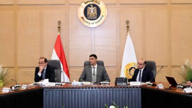 حوافز جديدة وتوسيع للإنتاج.. مصر تتحرك لدعم صناعة السيارات