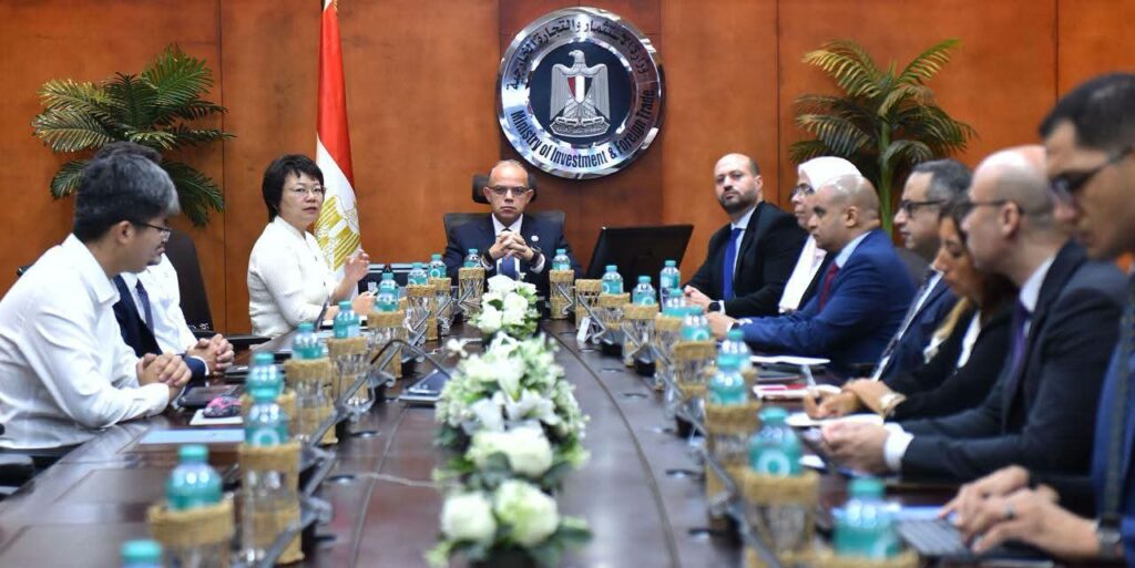مشروع صيني بـ20 مليون دولار لإنشاء مصنع خطوط إنتاج السيارات في مصر