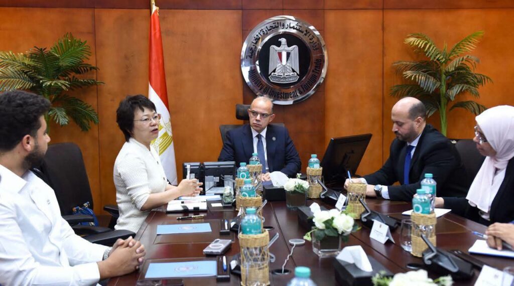 مشروع صيني بـ20 مليون دولار لإنشاء مصنع خطوط إنتاج السيارات في مصر