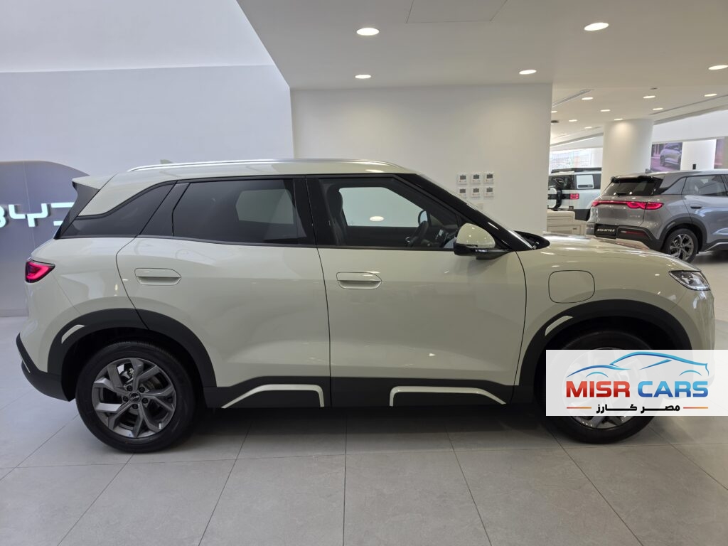 بي واي دي BYD ATTO 2