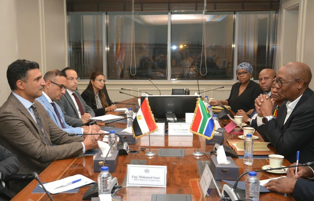 مصر تنشئ منصة لتصنيع مكونات السيارات بالشراكة مع جنوب إفريقيا