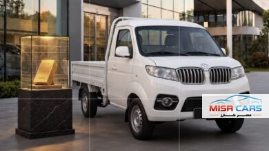 شينراي T30