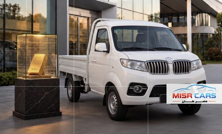 شينراي T30